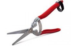 Garden Scissors & Snips