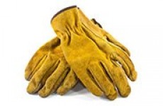 Gloves & Hand Protection
